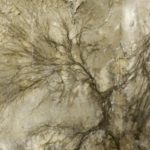 Product Facts : PAM Dual Ultra - Wet and Dry Rot Elimination 2