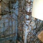Product Facts : PAM Dual Ultra - Wet and Dry Rot Elimination 1